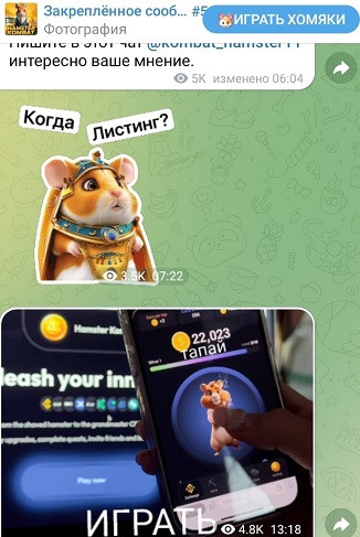 hamster kombat накрутка тг