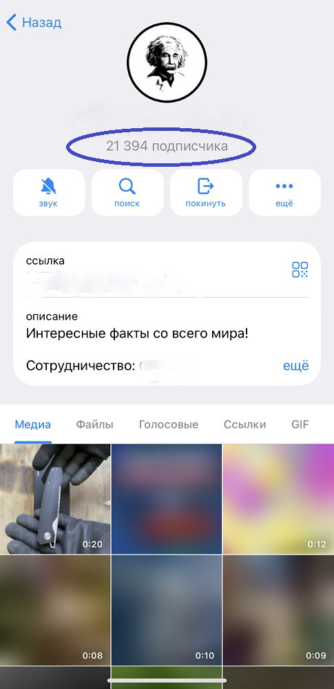 накрутка подписчиков в телеграмме накрутка подписчиков в телеграмме