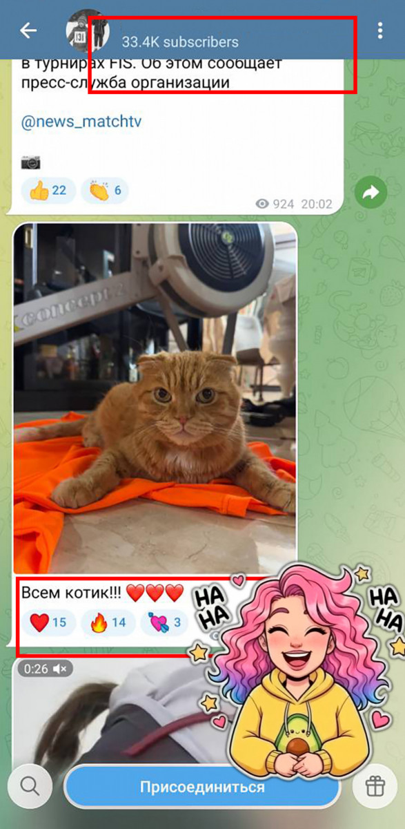 накрутка подписчиков в телеграмме бесплатно накрутка подписчиков в телеграмме бесплатно