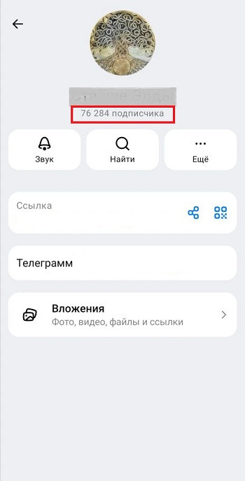 накрутка подписчиков в канал макс